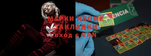 прущие грибы Абаза