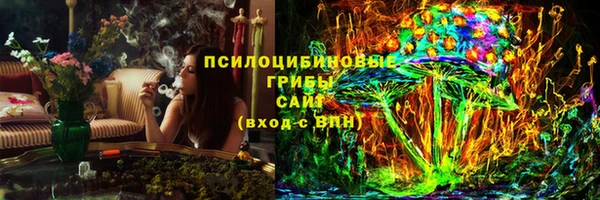 прущие грибы Алексеевка
