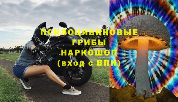 ПСИЛОЦИБИНОВЫЕ ГРИБЫ Алексин