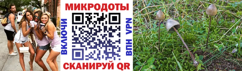 Псилоцибиновые грибы Psilocybe  ссылка на мегу рабочий сайт  Саянск 